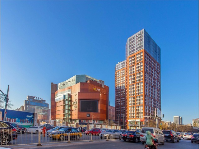 山东完善二手车拍卖